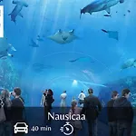 Joli Neuf *